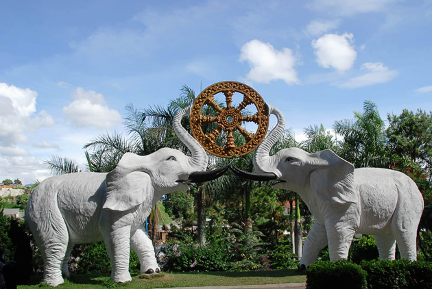 Download 86 Gambar Gajah Putih Terbaru 